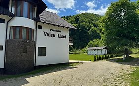 Pensiunea VALEA LISEI