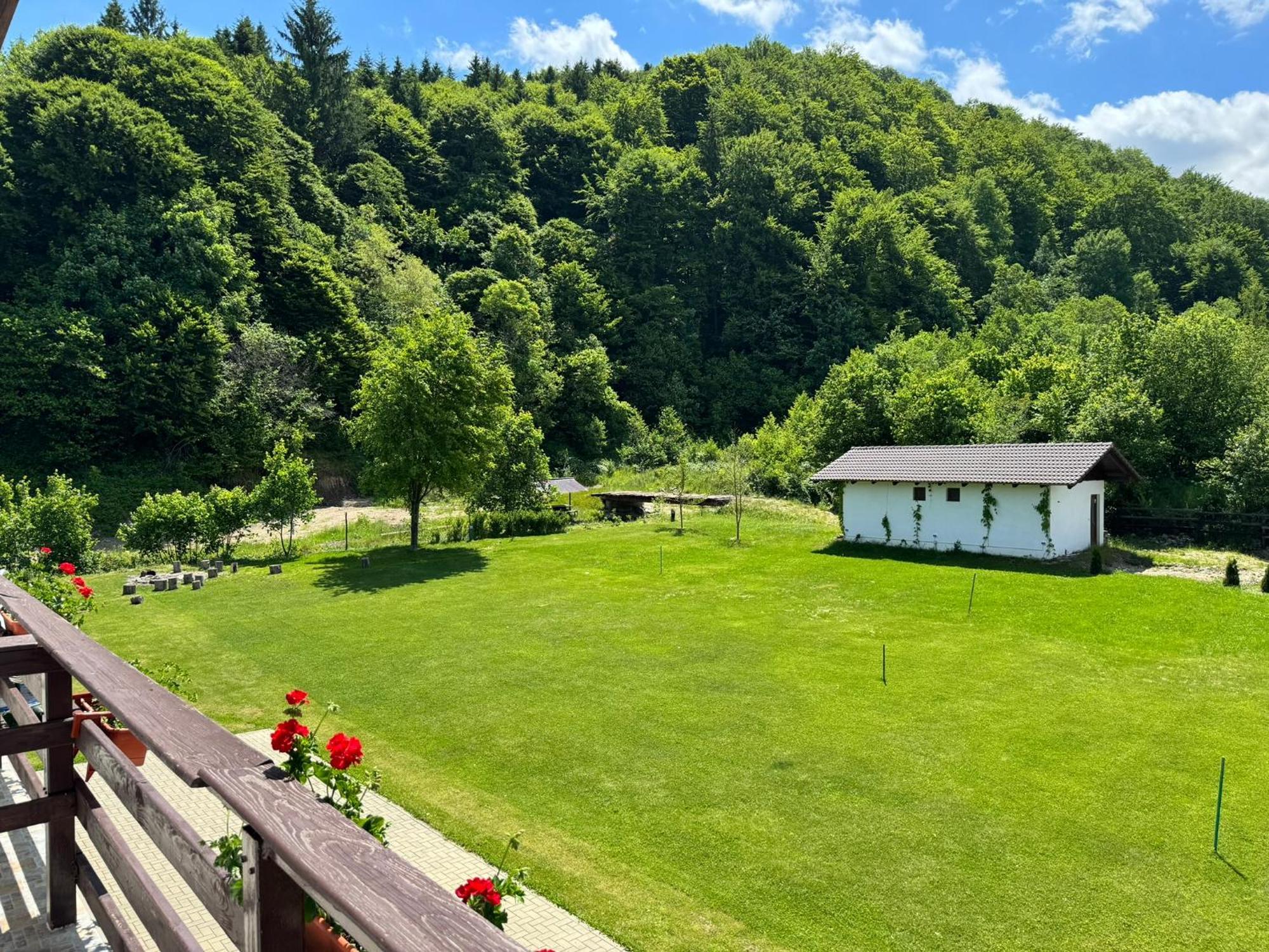 Pensiunea Valea Lisei Lisa Exterior foto